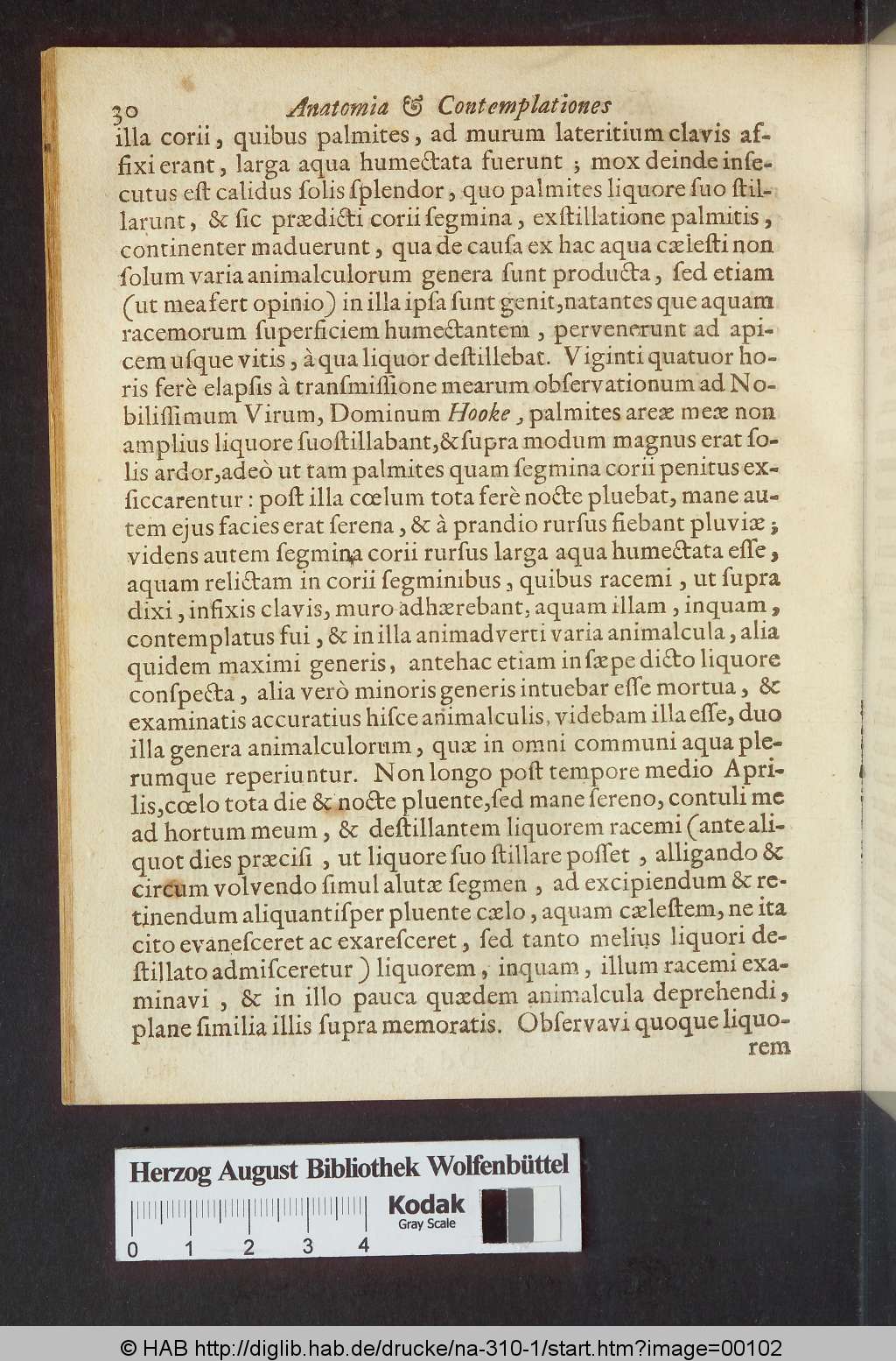 http://diglib.hab.de/drucke/na-310-1/00102.jpg