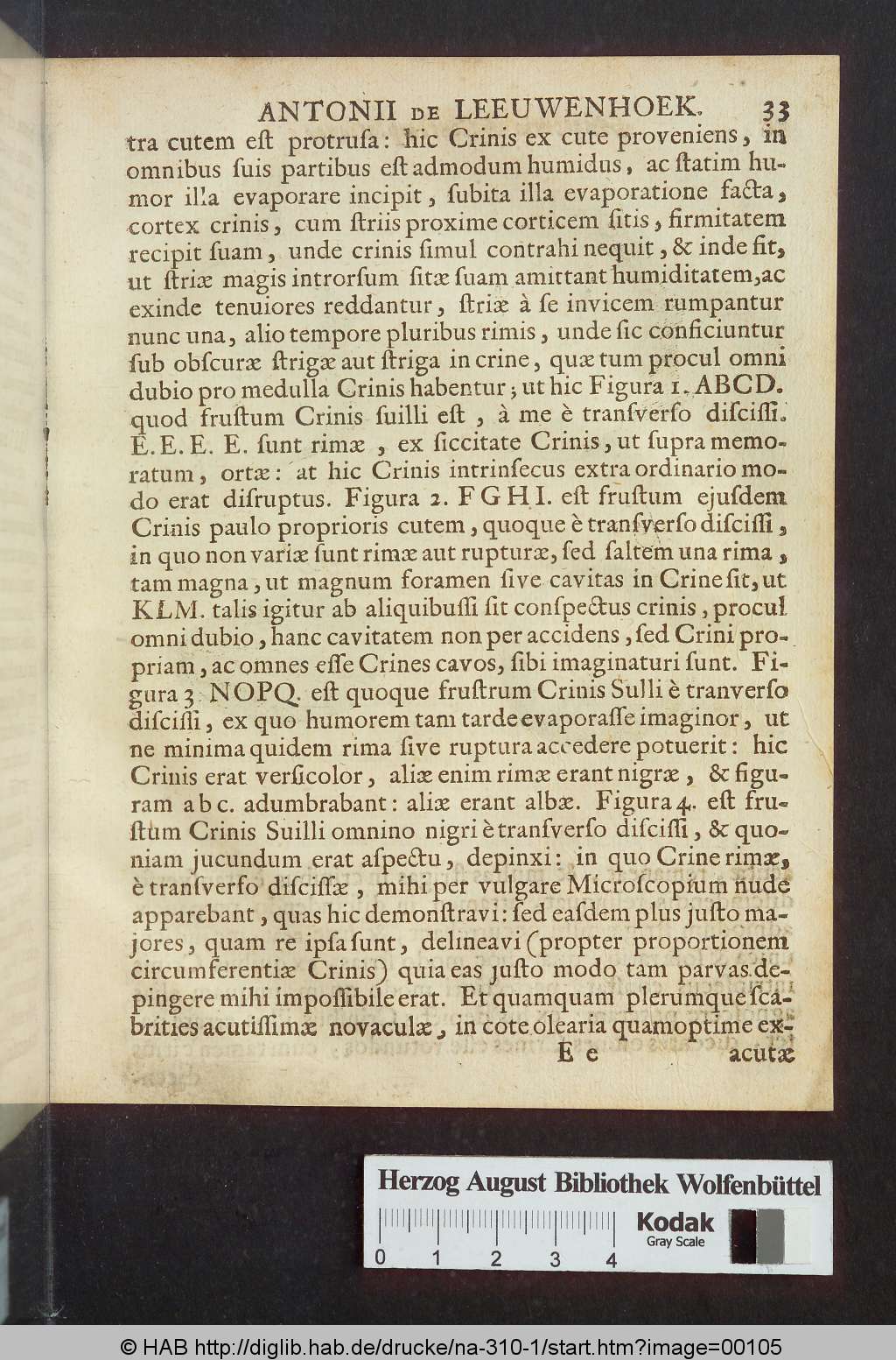 http://diglib.hab.de/drucke/na-310-1/00105.jpg