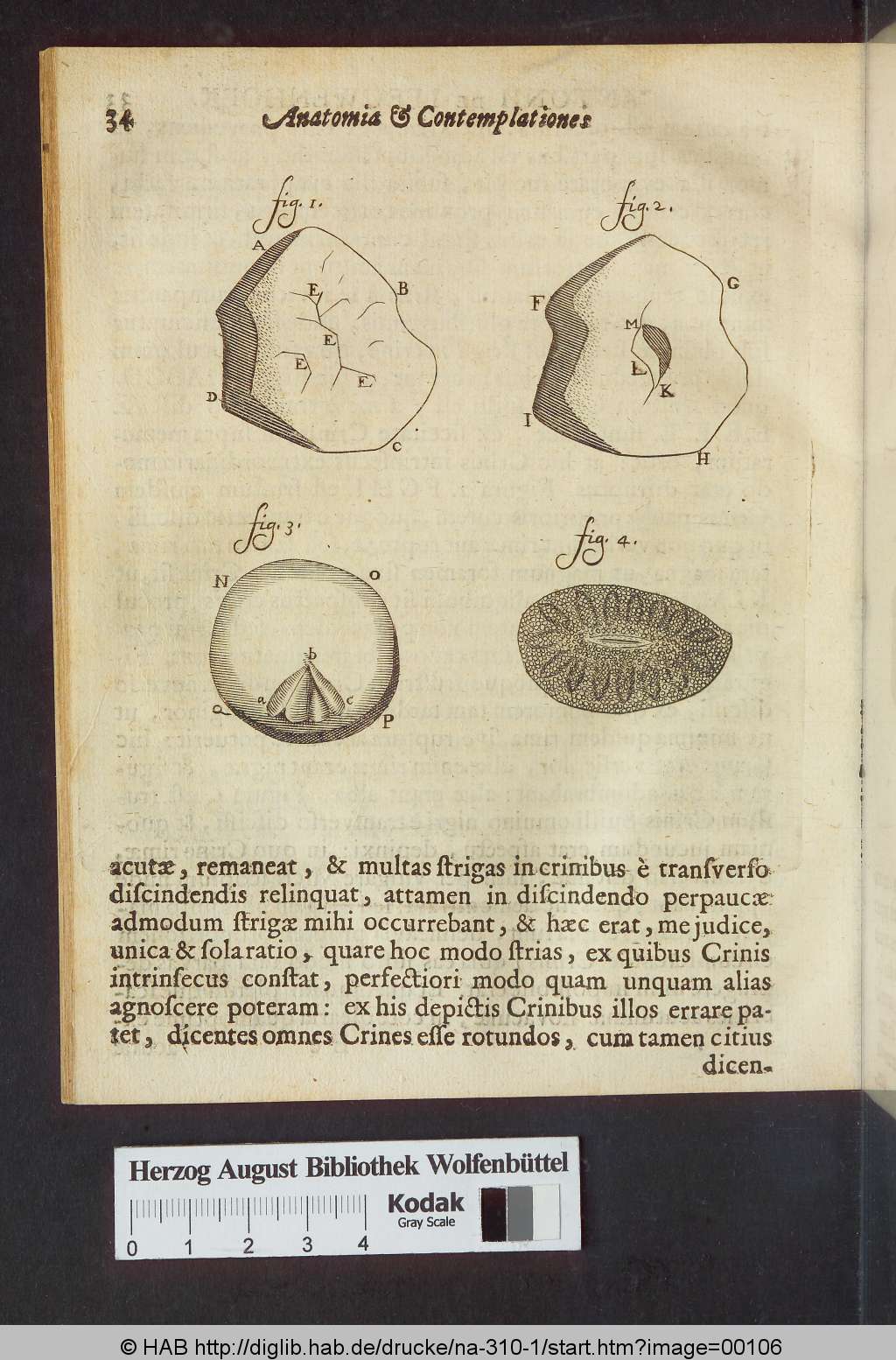 http://diglib.hab.de/drucke/na-310-1/00106.jpg