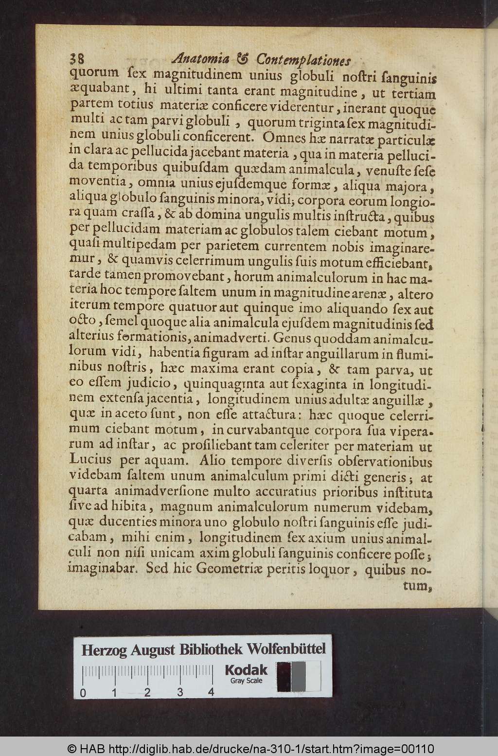 http://diglib.hab.de/drucke/na-310-1/00110.jpg