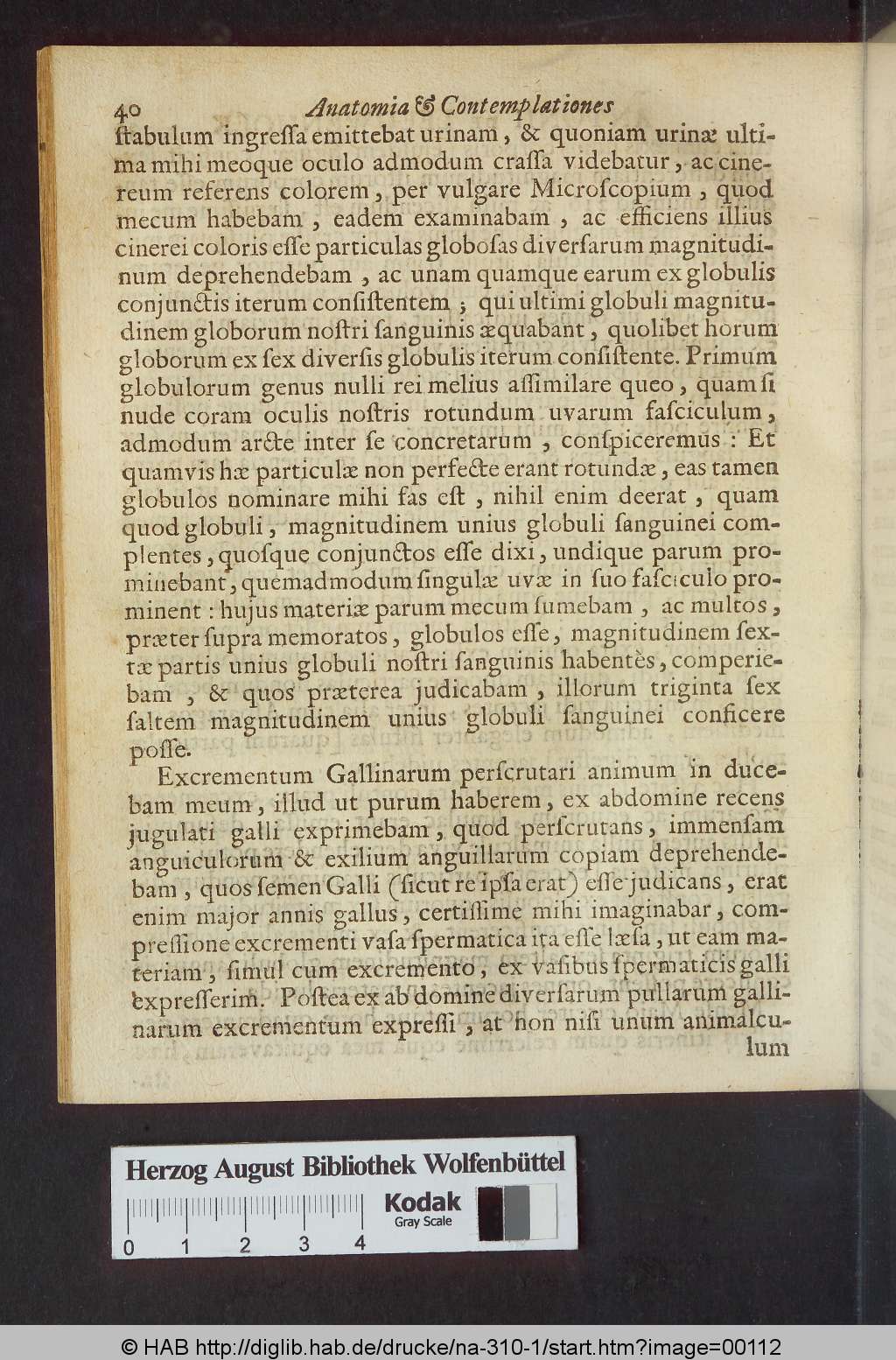http://diglib.hab.de/drucke/na-310-1/00112.jpg