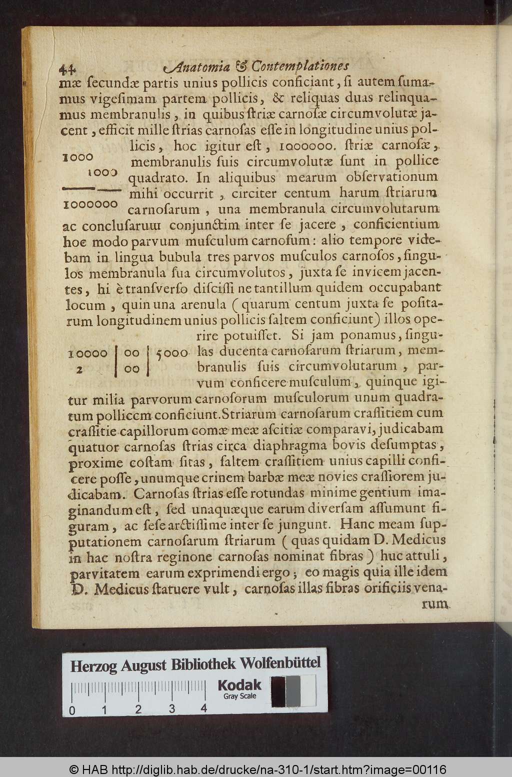 http://diglib.hab.de/drucke/na-310-1/00116.jpg