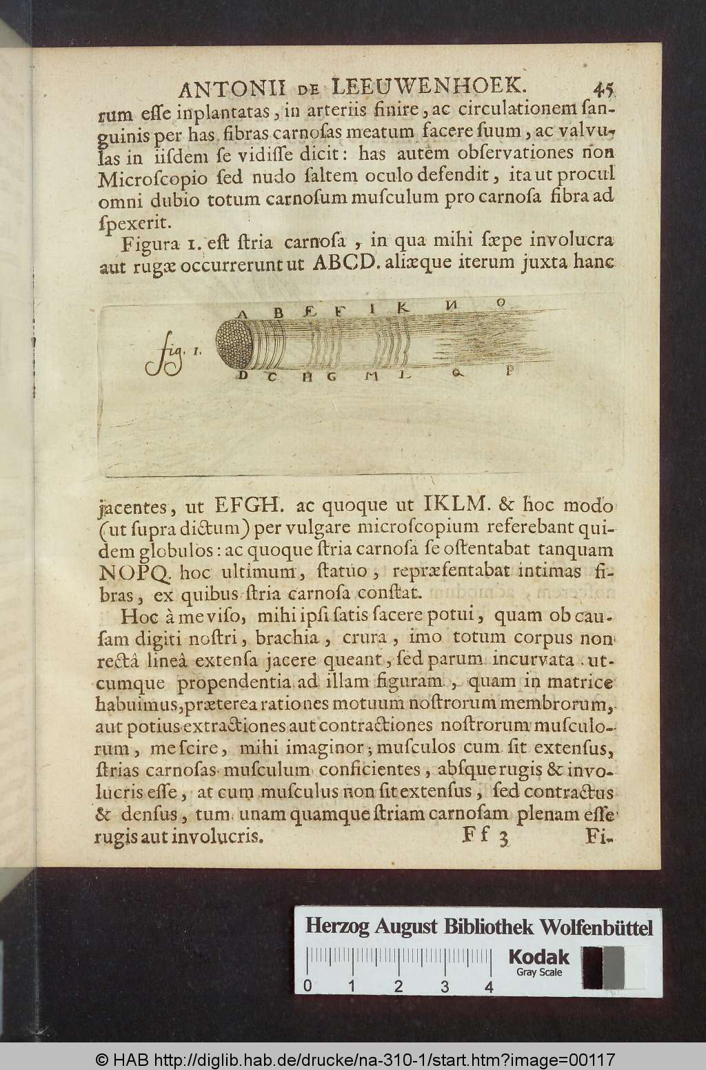 http://diglib.hab.de/drucke/na-310-1/00117.jpg