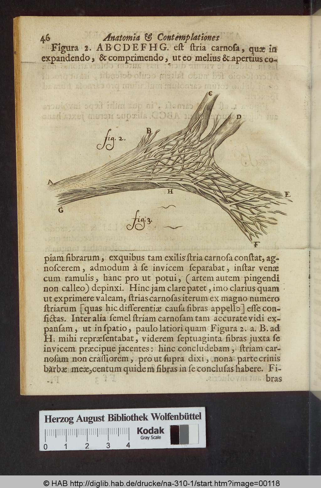 http://diglib.hab.de/drucke/na-310-1/00118.jpg