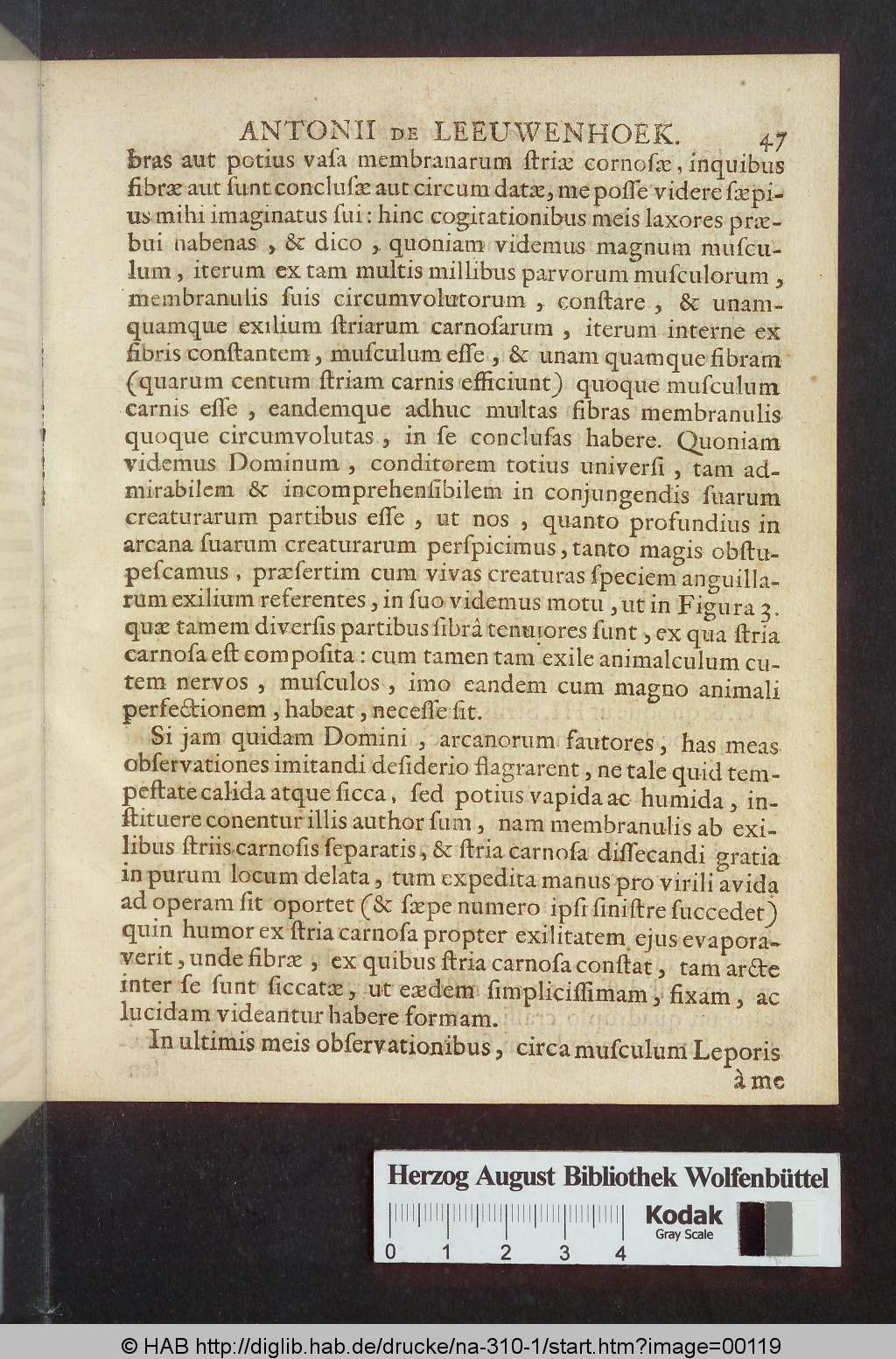 http://diglib.hab.de/drucke/na-310-1/00119.jpg