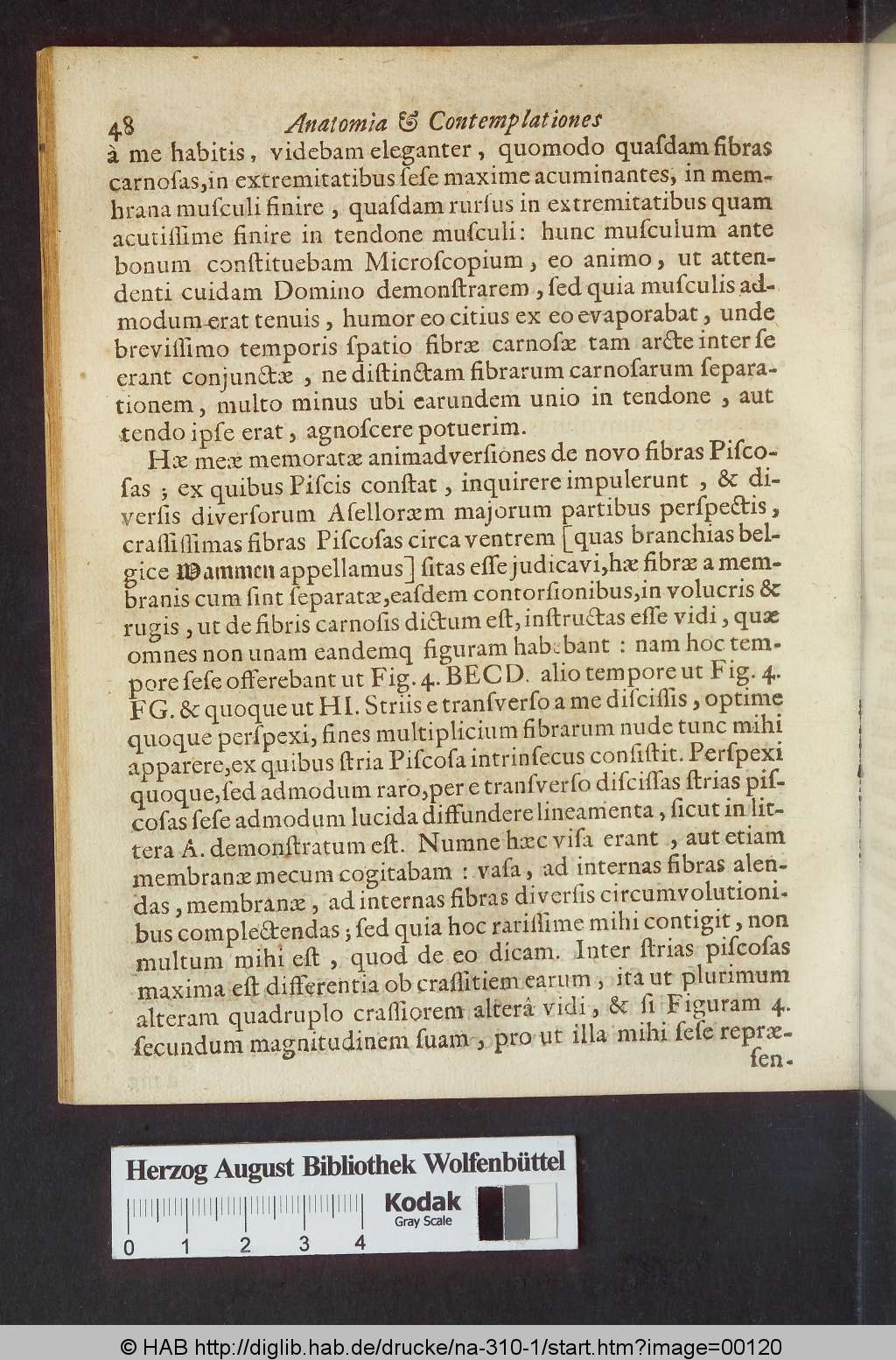 http://diglib.hab.de/drucke/na-310-1/00120.jpg