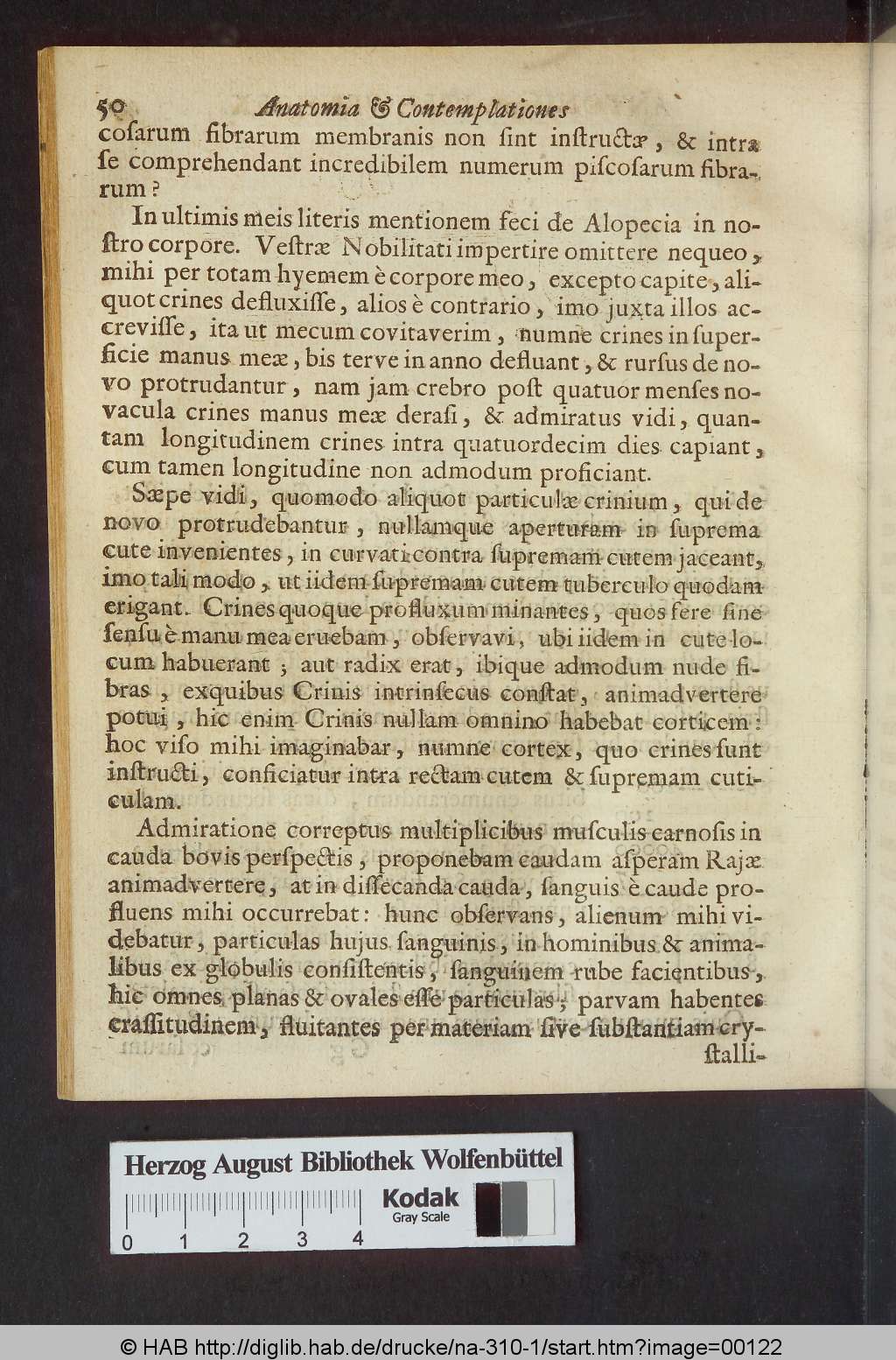 http://diglib.hab.de/drucke/na-310-1/00122.jpg