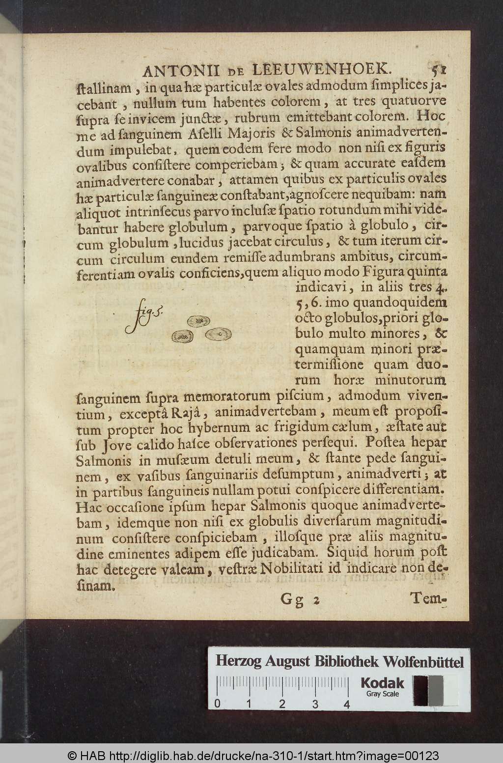 http://diglib.hab.de/drucke/na-310-1/00123.jpg