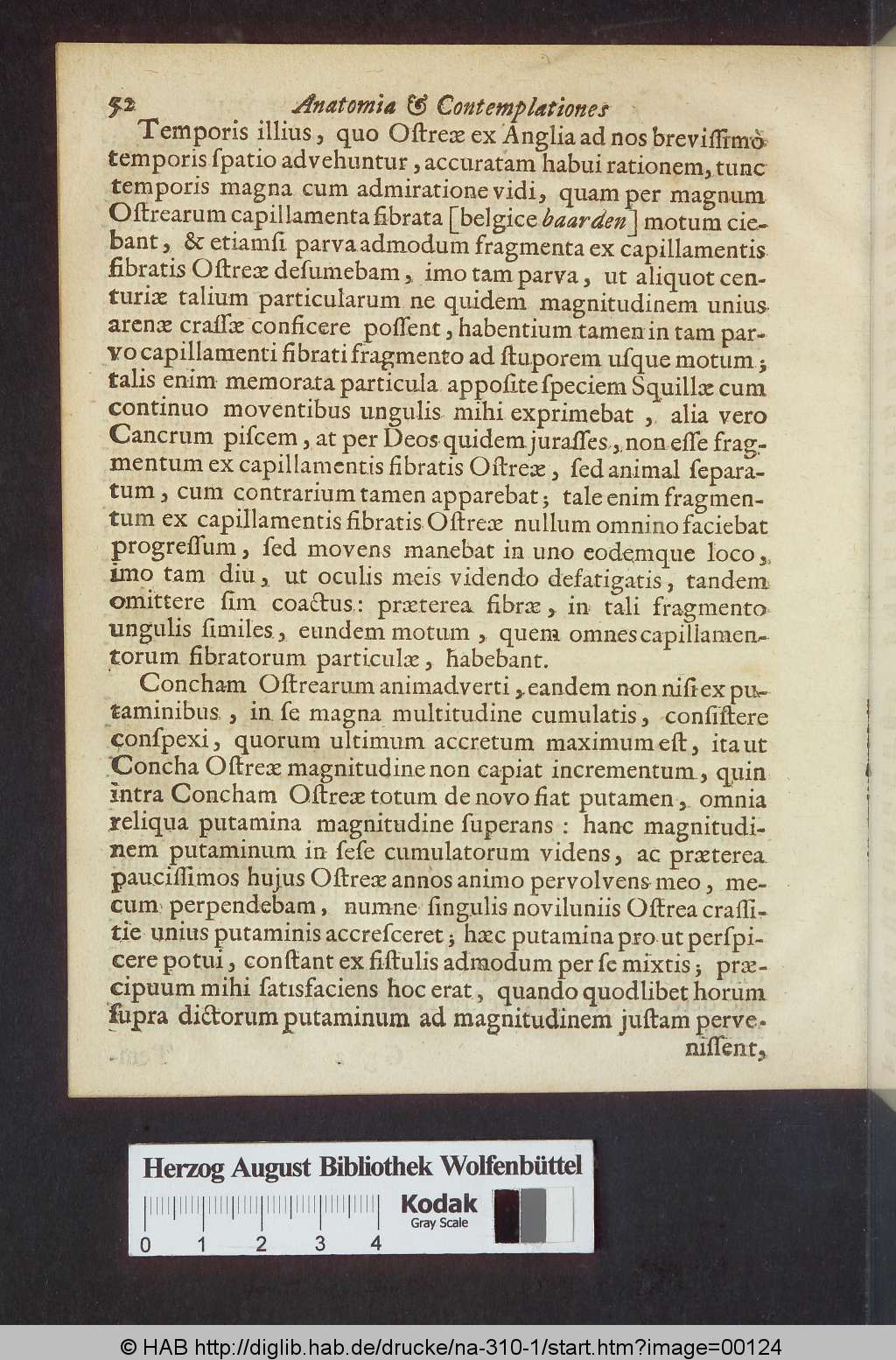 http://diglib.hab.de/drucke/na-310-1/00124.jpg