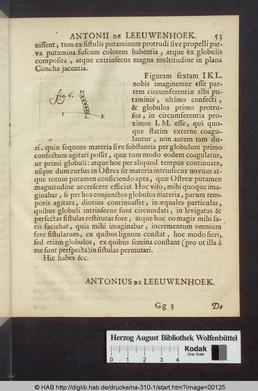 http://diglib.hab.de/drucke/na-310-1/00125.jpg