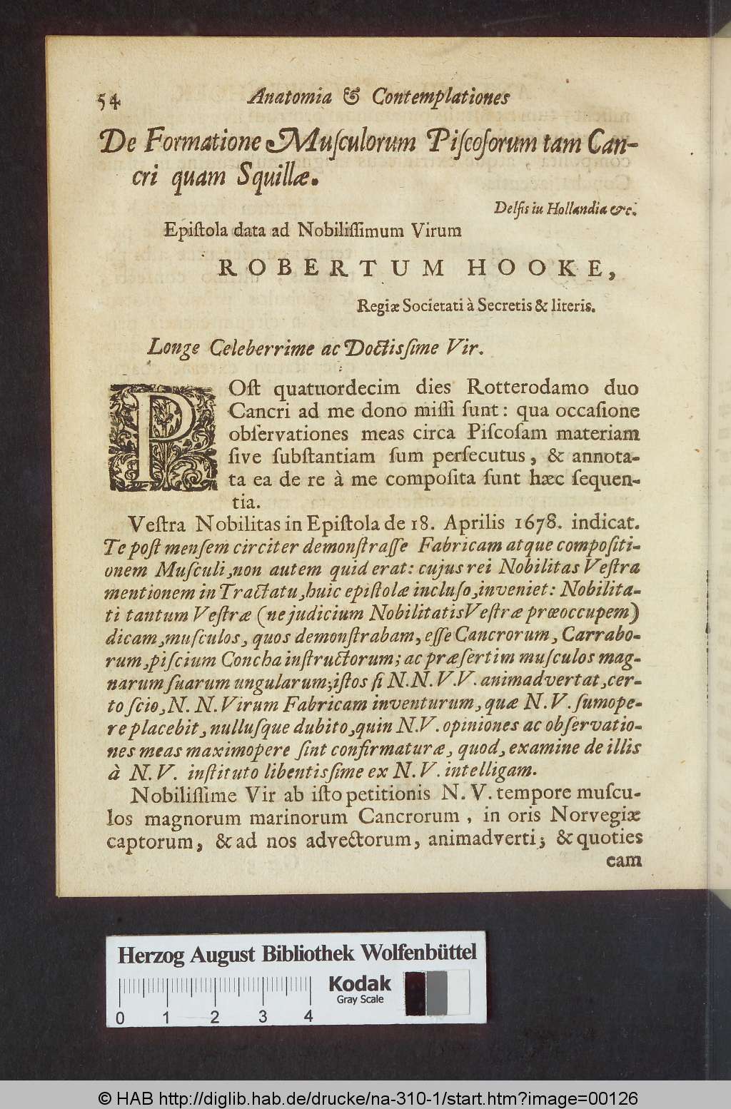 http://diglib.hab.de/drucke/na-310-1/00126.jpg