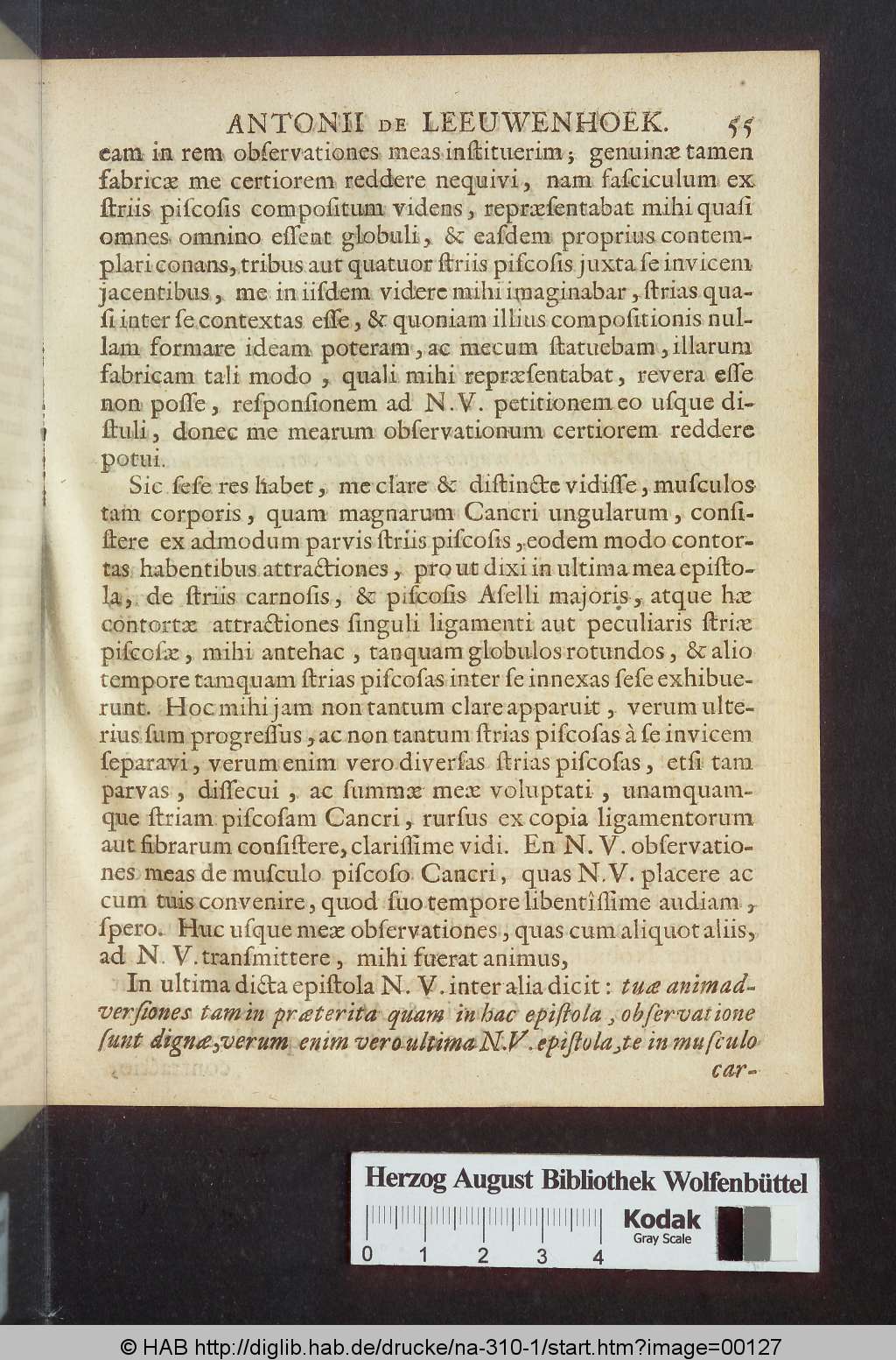 http://diglib.hab.de/drucke/na-310-1/00127.jpg