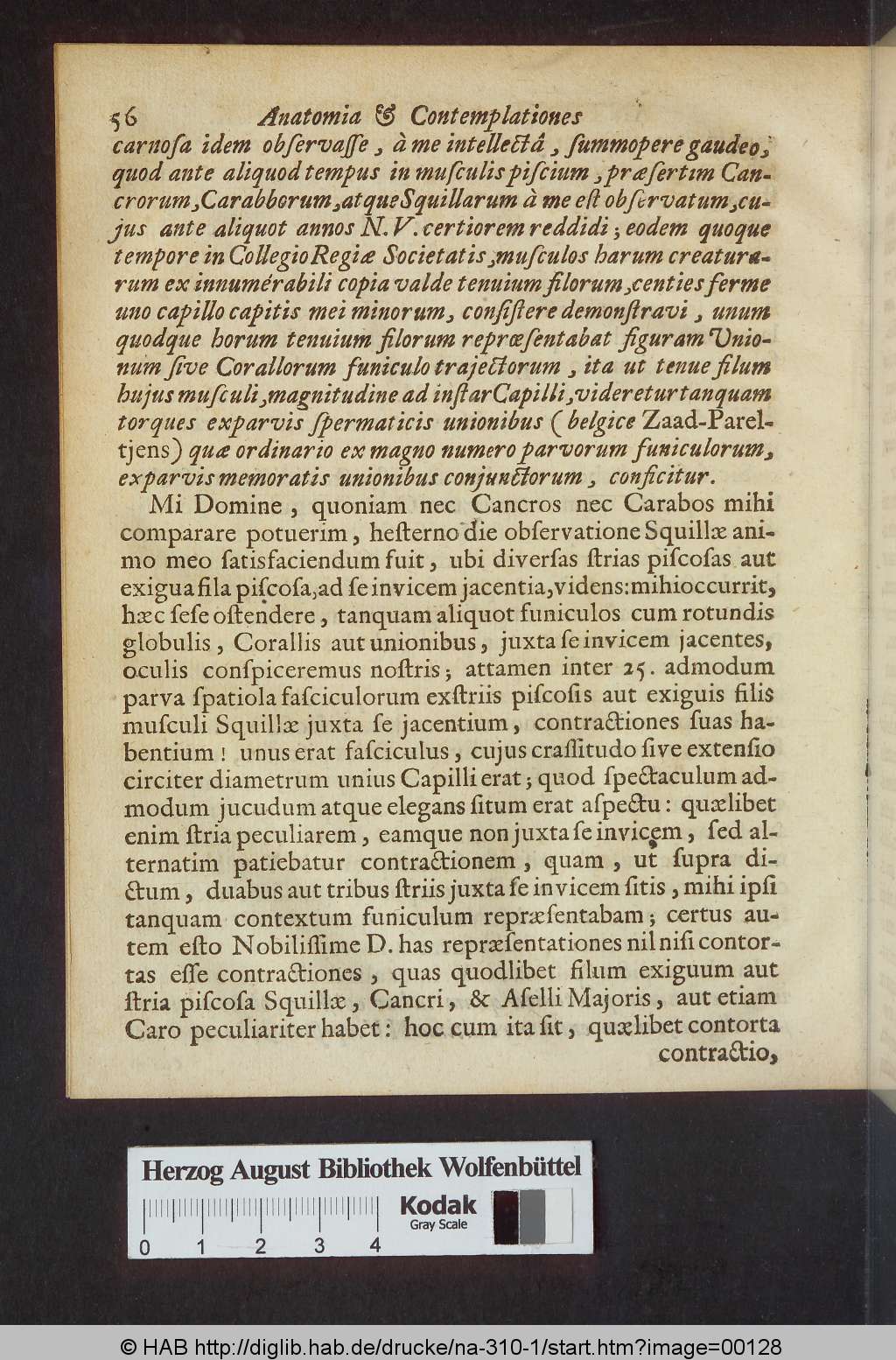 http://diglib.hab.de/drucke/na-310-1/00128.jpg