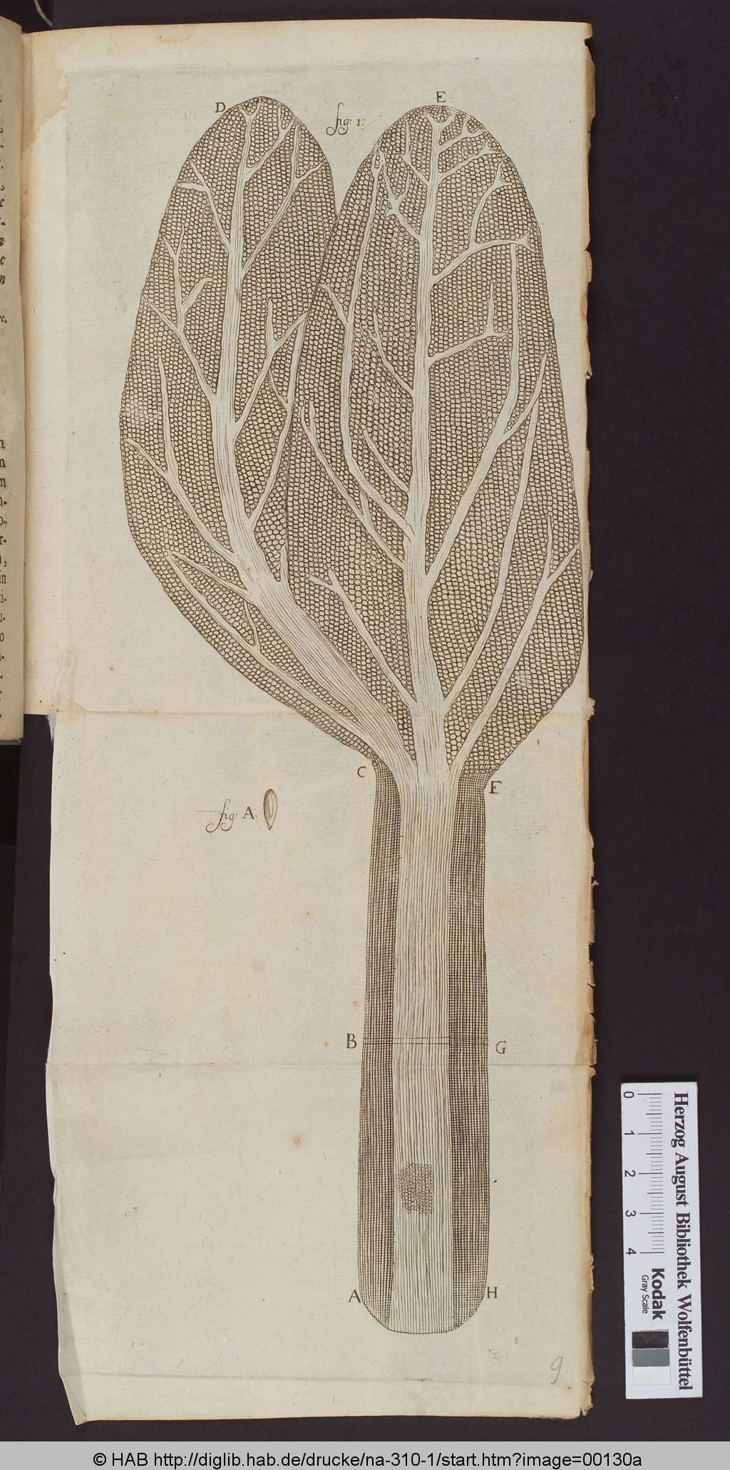 http://diglib.hab.de/drucke/na-310-1/00130a.jpg