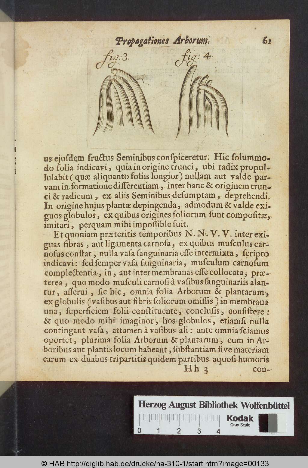 http://diglib.hab.de/drucke/na-310-1/00133.jpg