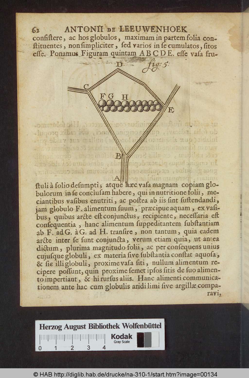 http://diglib.hab.de/drucke/na-310-1/00134.jpg