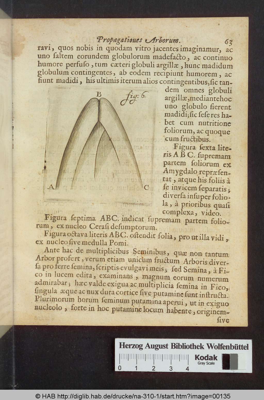 http://diglib.hab.de/drucke/na-310-1/00135.jpg