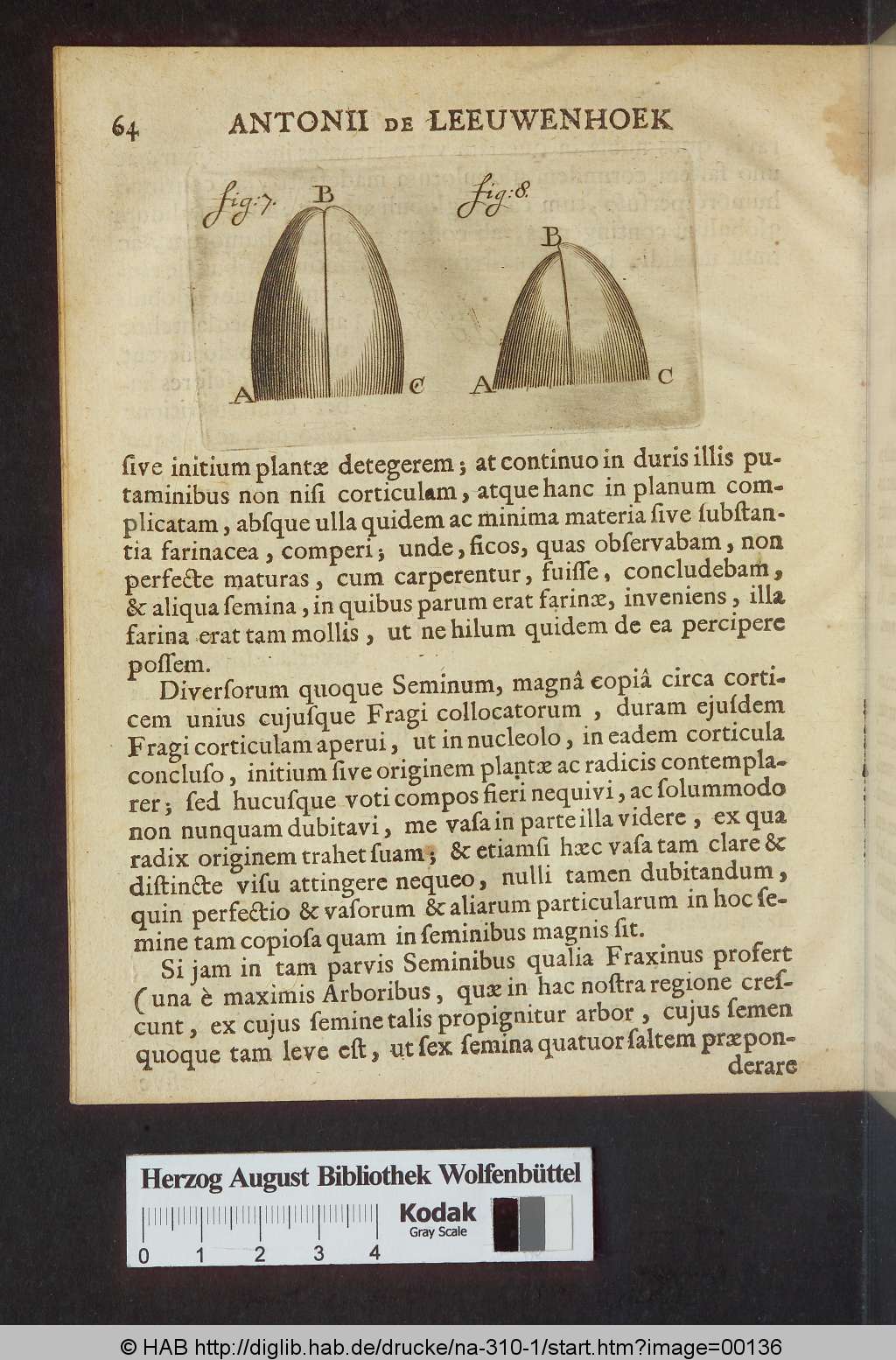 http://diglib.hab.de/drucke/na-310-1/00136.jpg