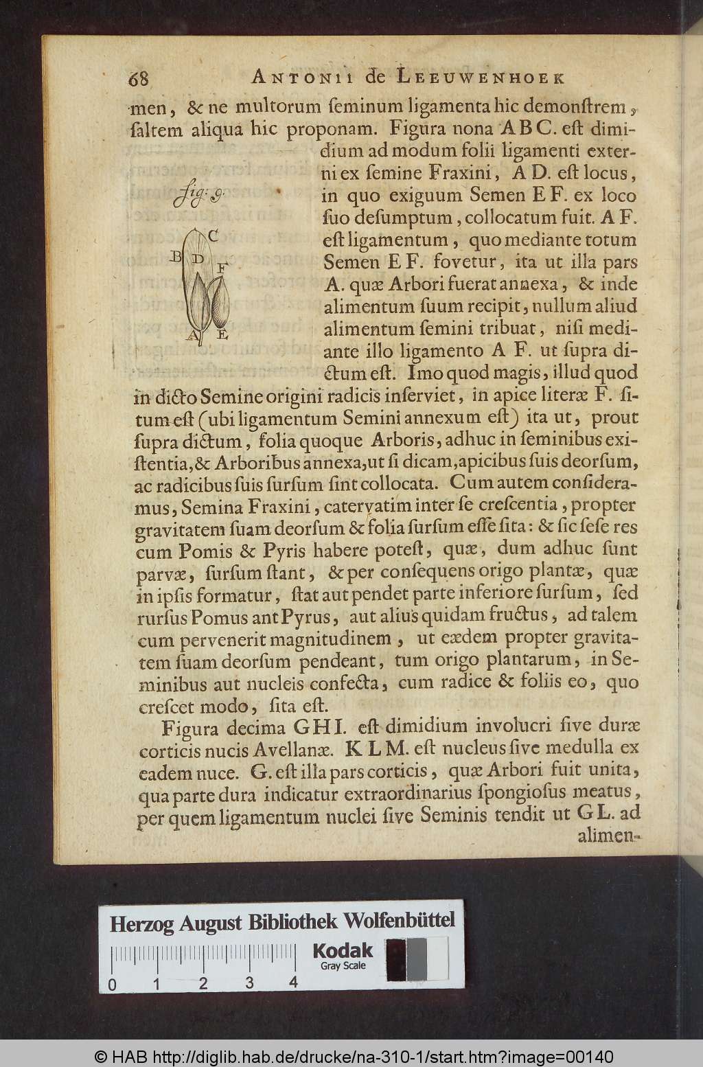 http://diglib.hab.de/drucke/na-310-1/00140.jpg