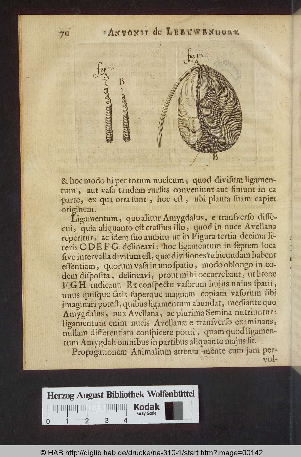 http://diglib.hab.de/drucke/na-310-1/00142.jpg