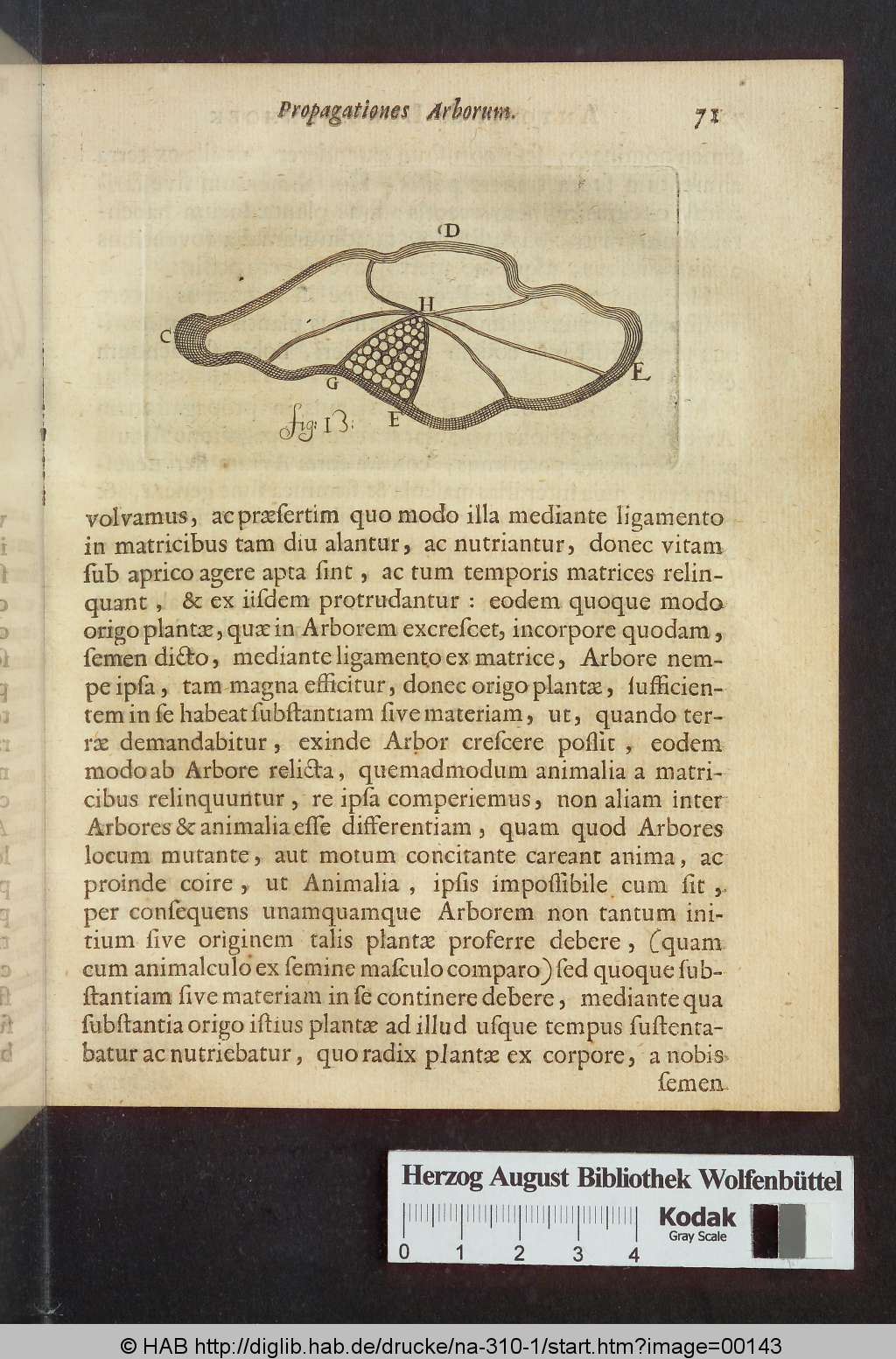 http://diglib.hab.de/drucke/na-310-1/00143.jpg