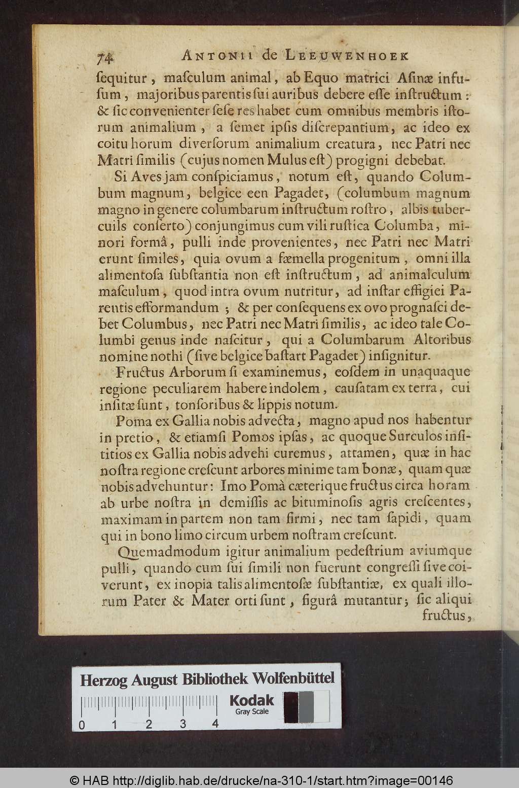 http://diglib.hab.de/drucke/na-310-1/00146.jpg