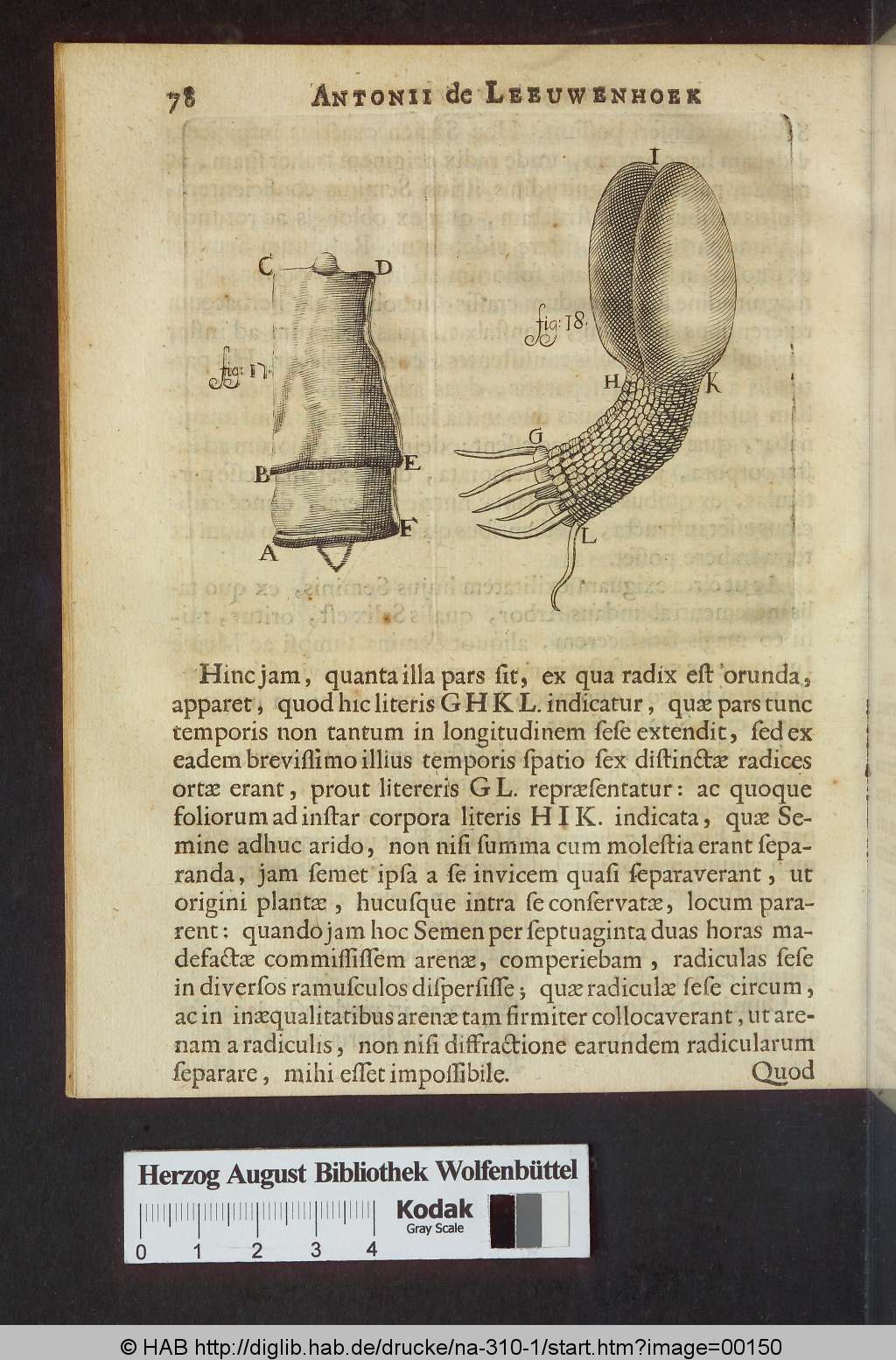 http://diglib.hab.de/drucke/na-310-1/00150.jpg
