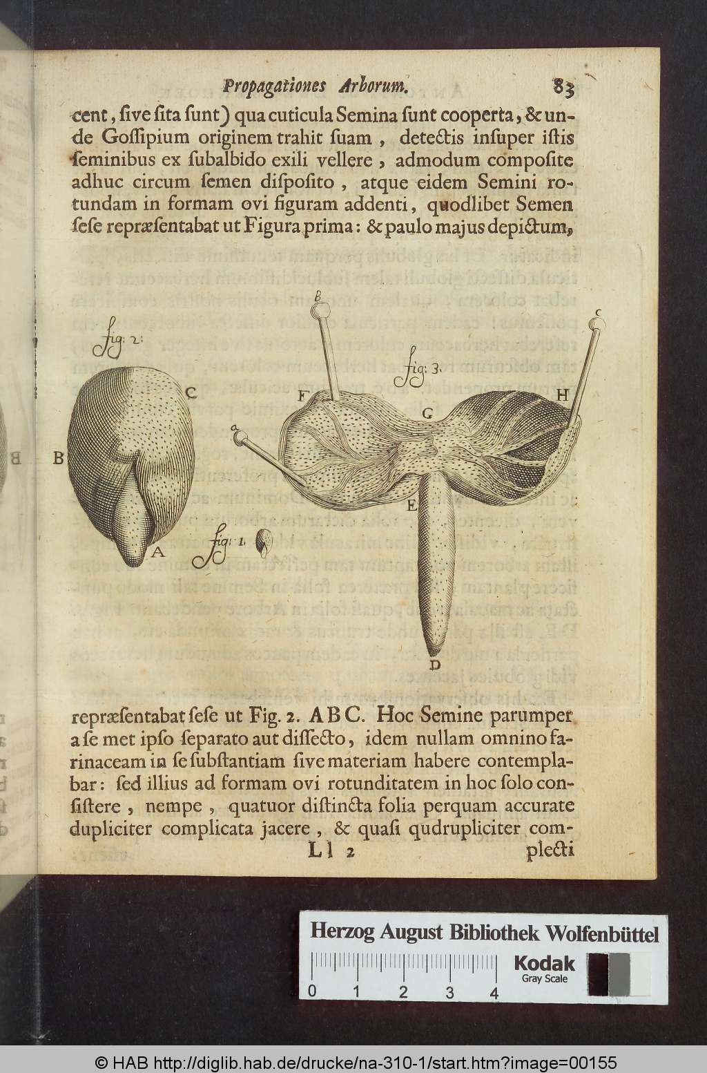 http://diglib.hab.de/drucke/na-310-1/00155.jpg