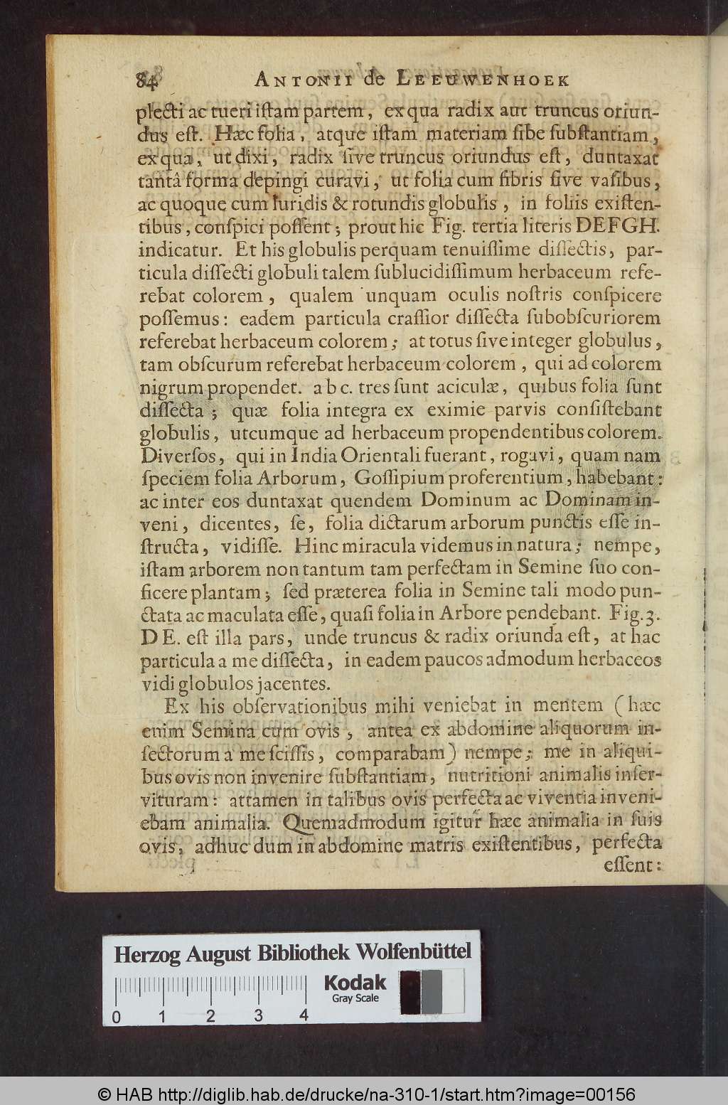http://diglib.hab.de/drucke/na-310-1/00156.jpg