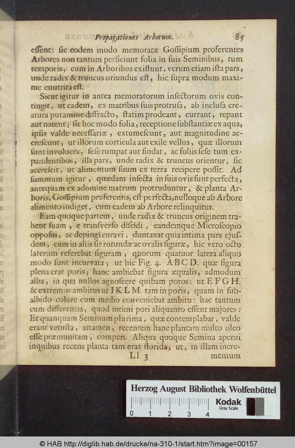 http://diglib.hab.de/drucke/na-310-1/00157.jpg