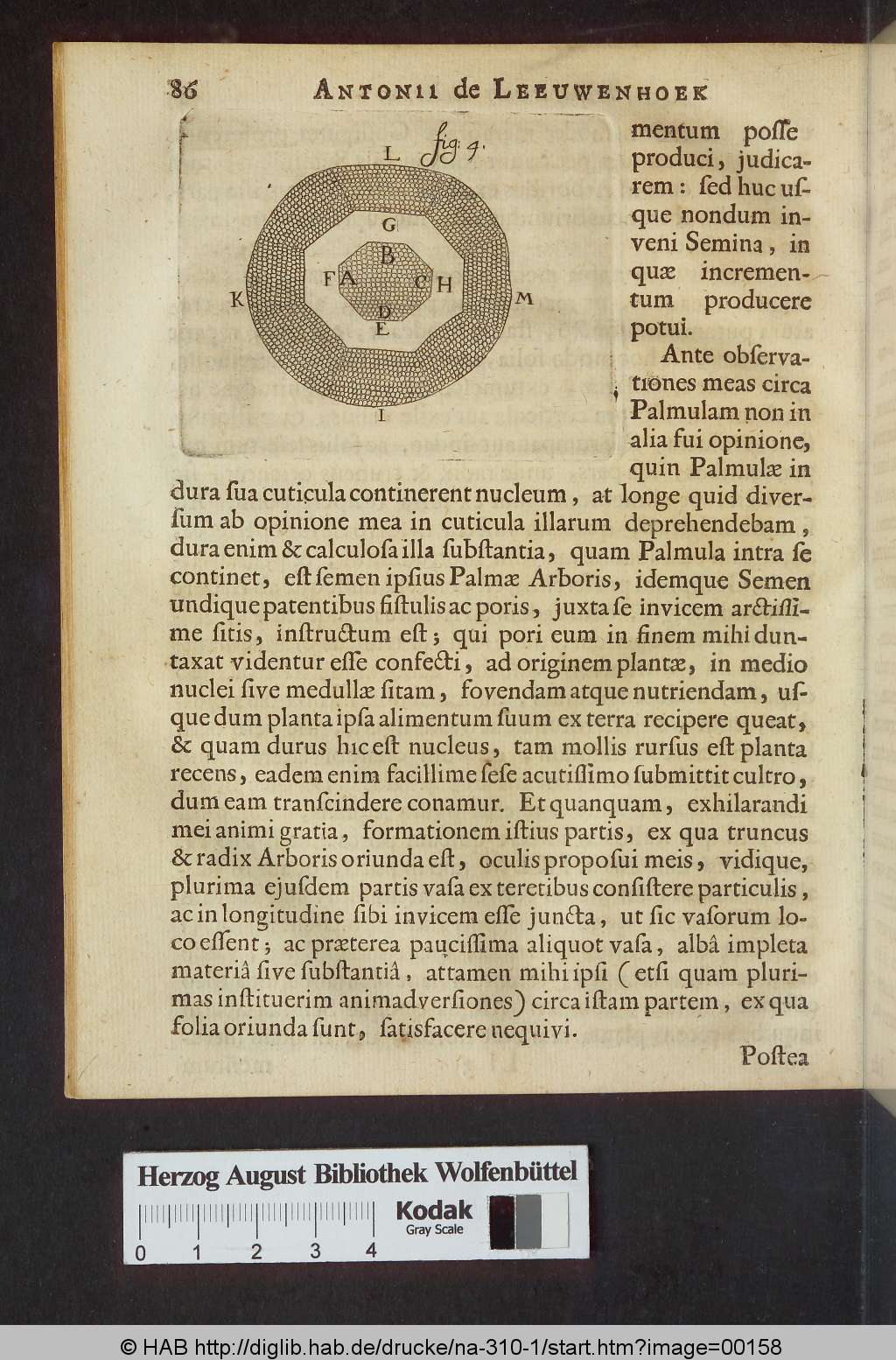 http://diglib.hab.de/drucke/na-310-1/00158.jpg