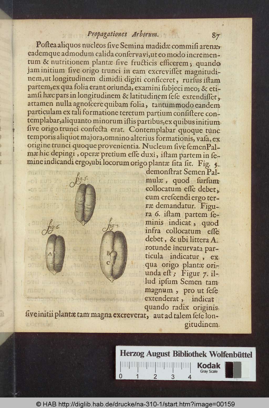 http://diglib.hab.de/drucke/na-310-1/00159.jpg