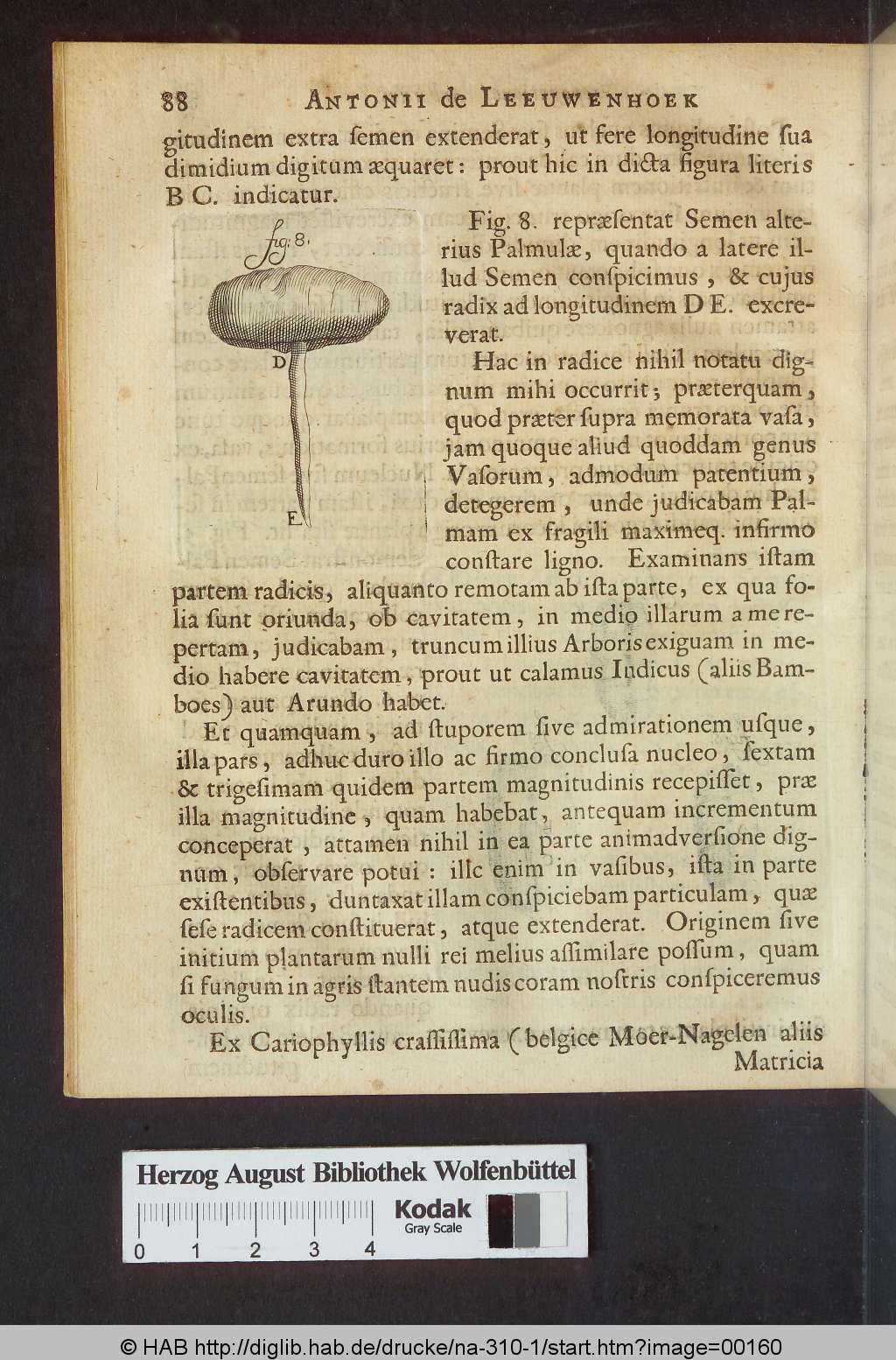 http://diglib.hab.de/drucke/na-310-1/00160.jpg