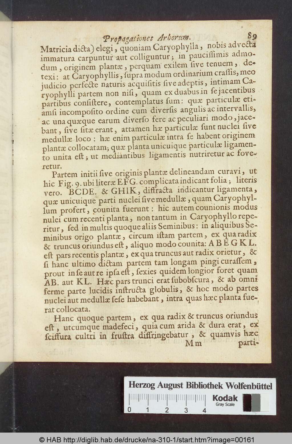 http://diglib.hab.de/drucke/na-310-1/00161.jpg