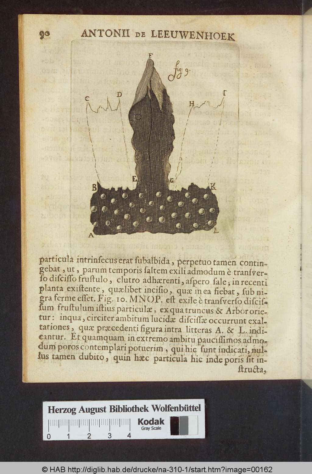 http://diglib.hab.de/drucke/na-310-1/00162.jpg