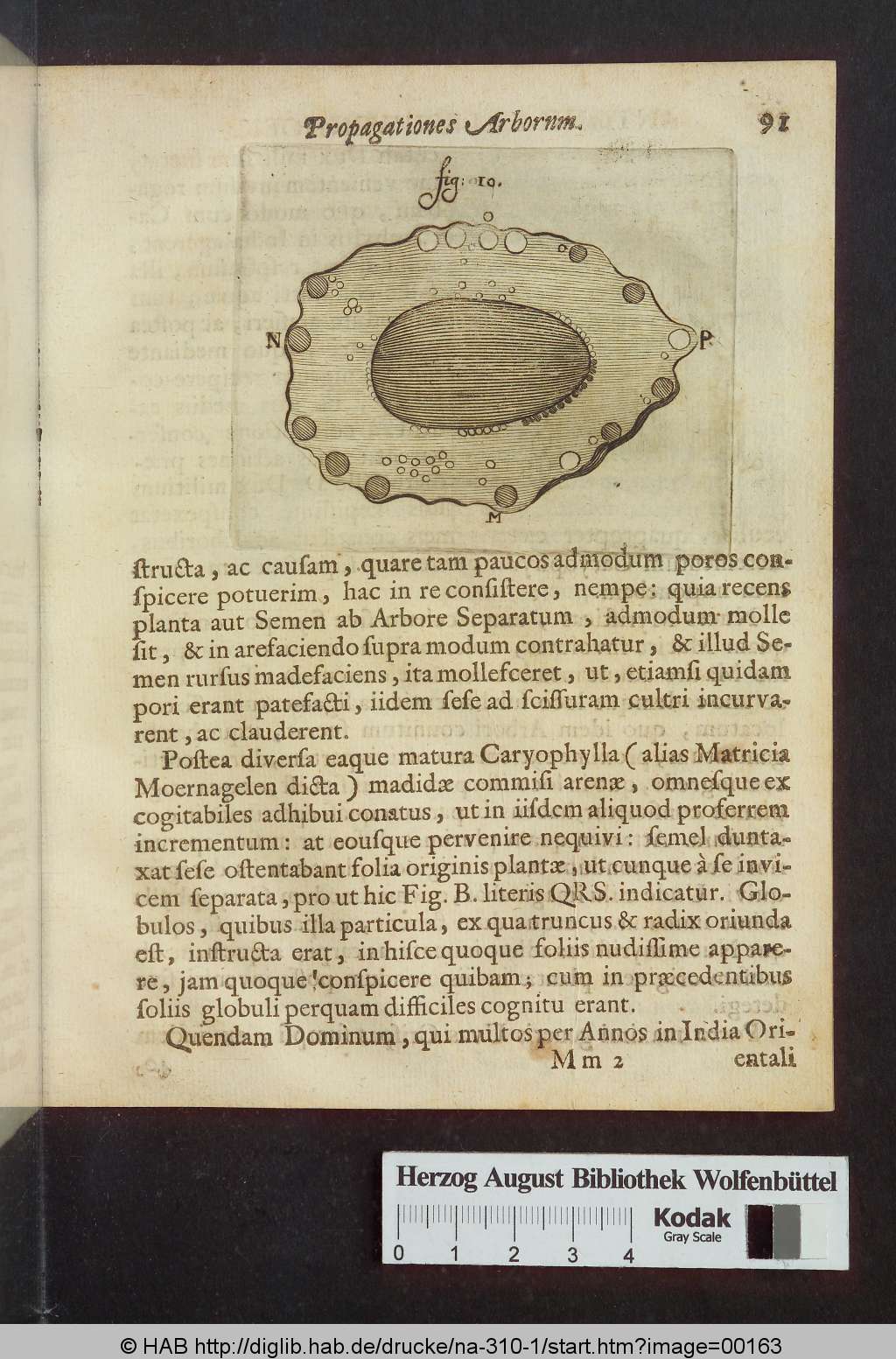 http://diglib.hab.de/drucke/na-310-1/00163.jpg