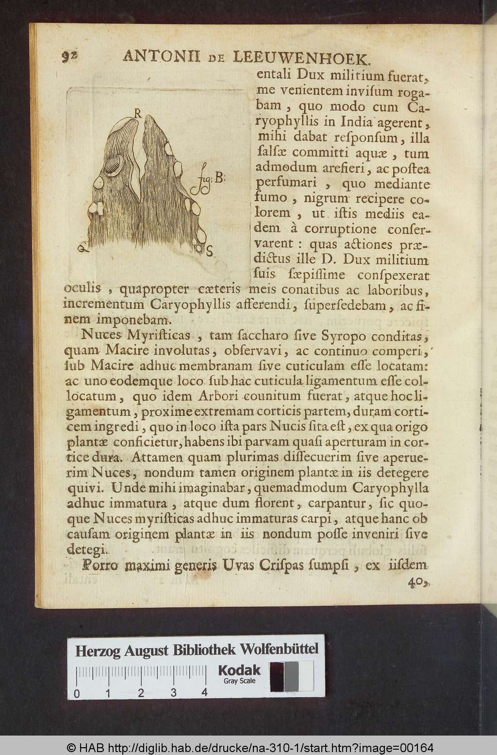 http://diglib.hab.de/drucke/na-310-1/00164.jpg