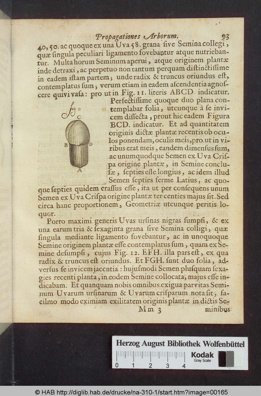 http://diglib.hab.de/drucke/na-310-1/00165.jpg