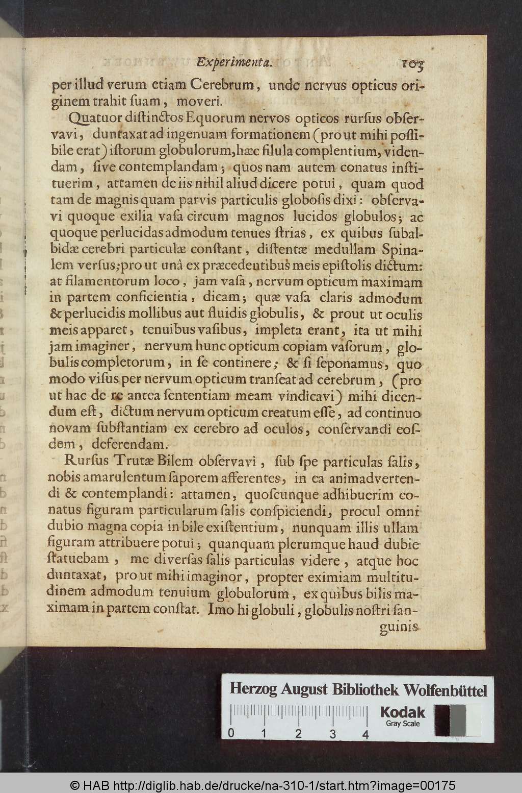 http://diglib.hab.de/drucke/na-310-1/00175.jpg