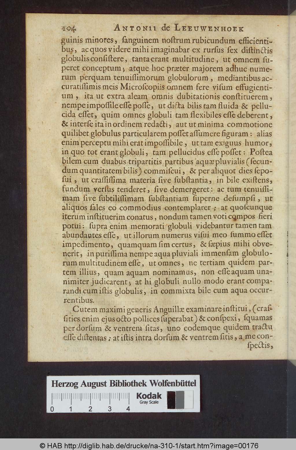http://diglib.hab.de/drucke/na-310-1/00176.jpg