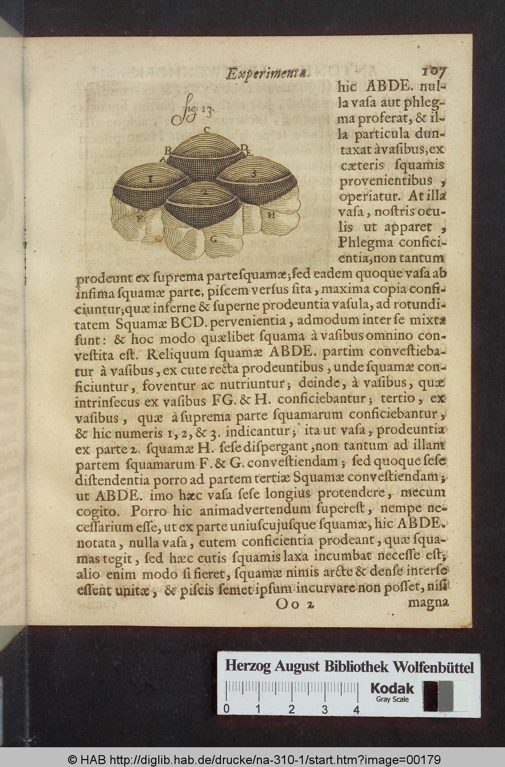 http://diglib.hab.de/drucke/na-310-1/00179.jpg