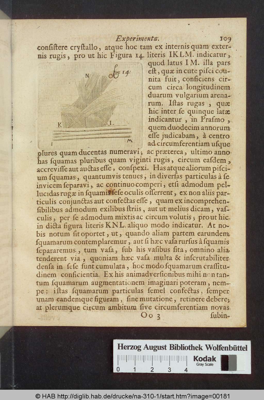 http://diglib.hab.de/drucke/na-310-1/00181.jpg