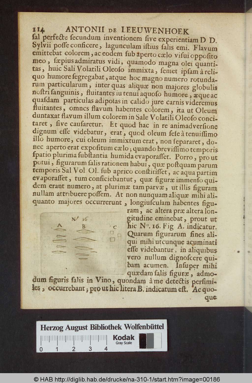 http://diglib.hab.de/drucke/na-310-1/00186.jpg