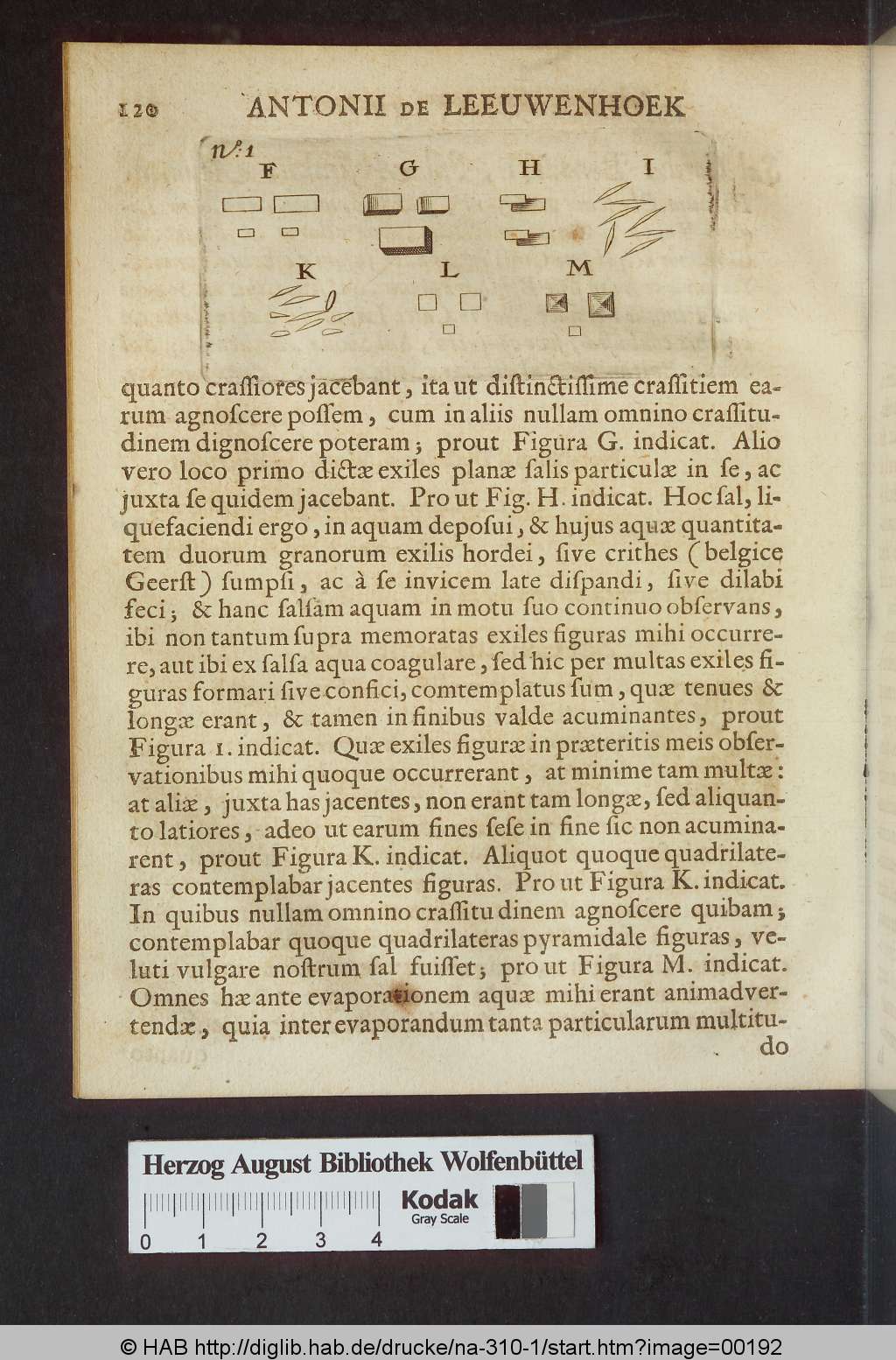 http://diglib.hab.de/drucke/na-310-1/00192.jpg