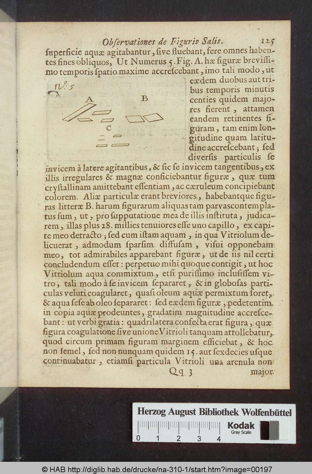 http://diglib.hab.de/drucke/na-310-1/00197.jpg