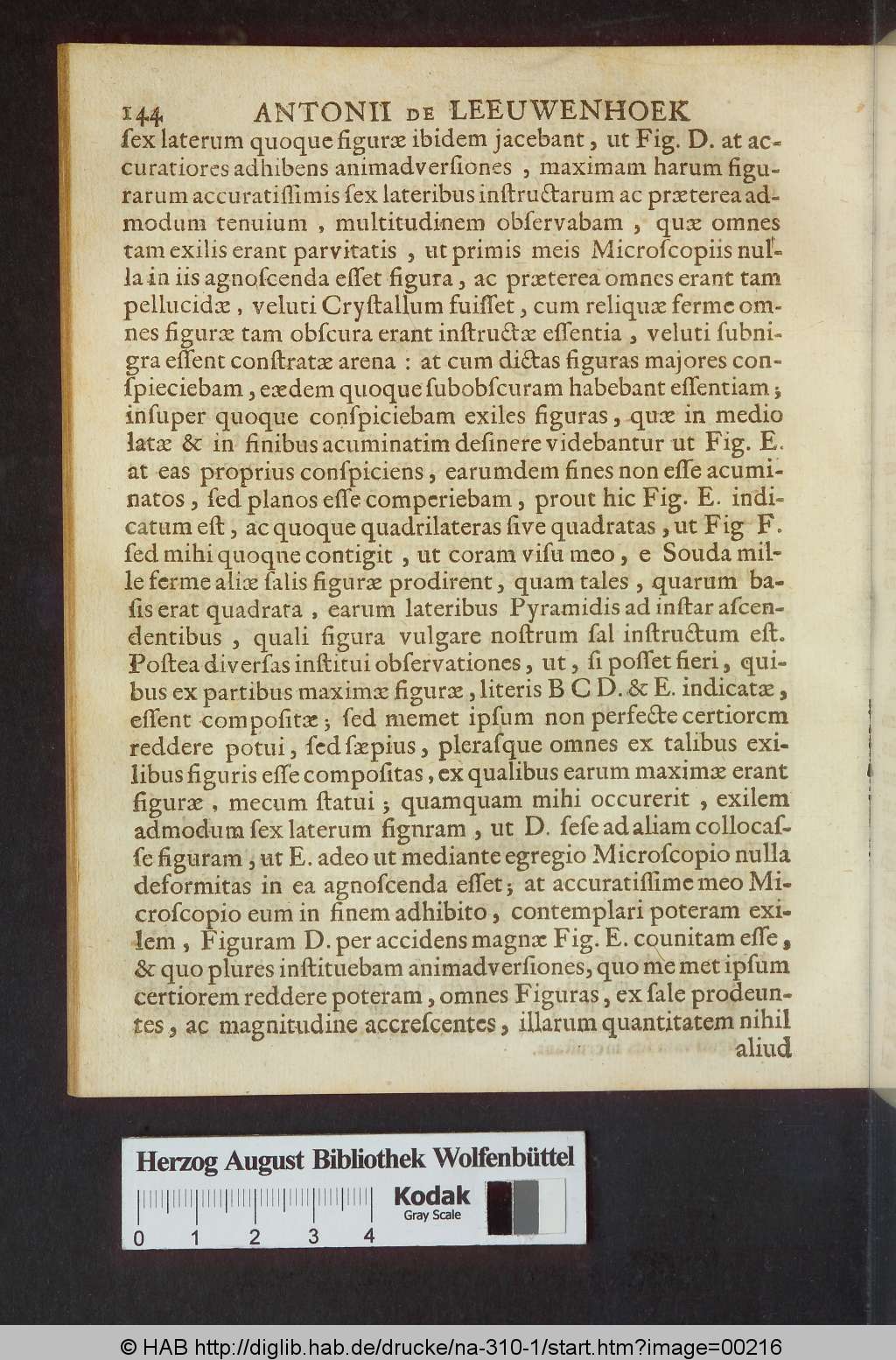 http://diglib.hab.de/drucke/na-310-1/00216.jpg