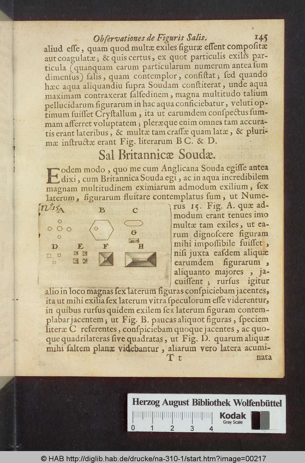 http://diglib.hab.de/drucke/na-310-1/00217.jpg