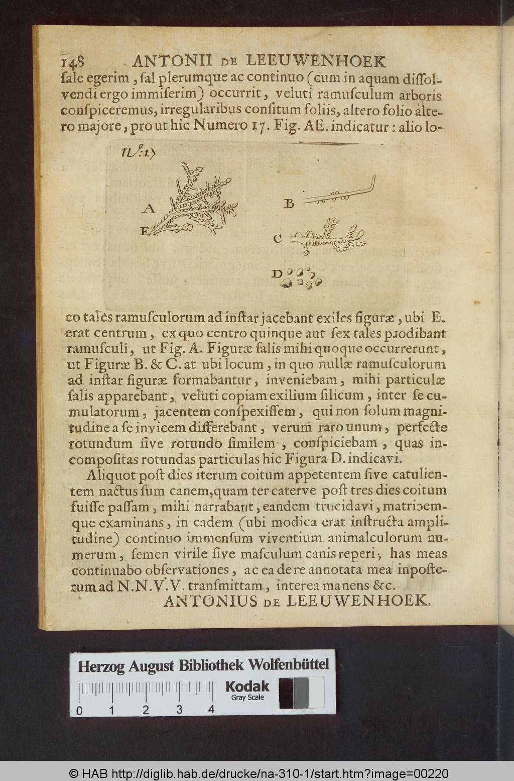 http://diglib.hab.de/drucke/na-310-1/00220.jpg