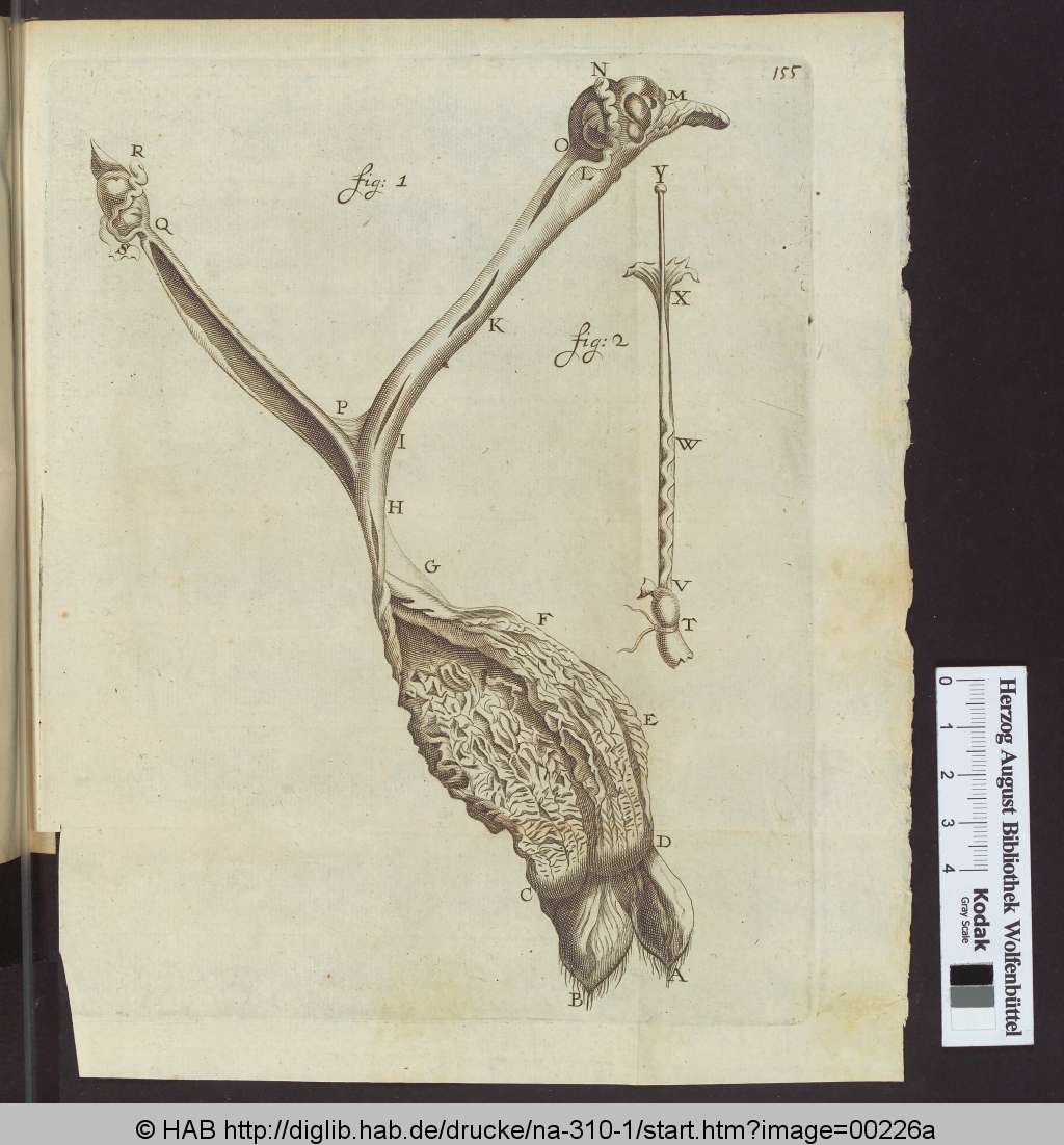 http://diglib.hab.de/drucke/na-310-1/00226a.jpg