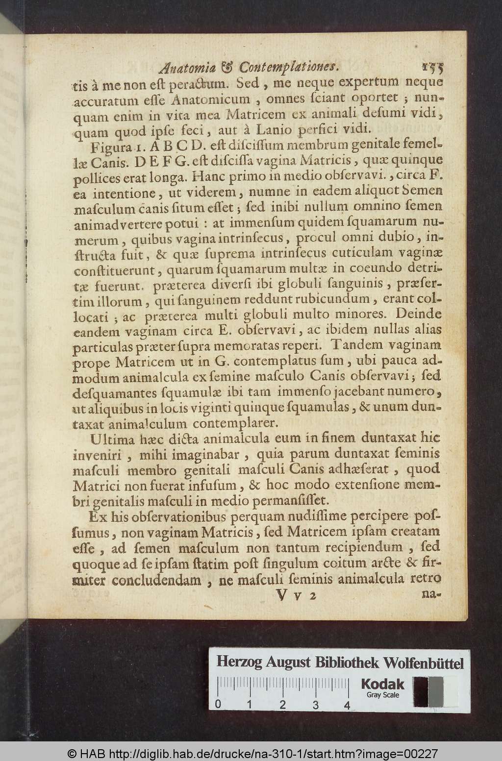 http://diglib.hab.de/drucke/na-310-1/00227.jpg